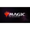 Magic the Gathering