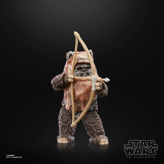 Figurka F7050 Wicket 15 cm Star Wars Episode VI 40th Anniversary Black Series