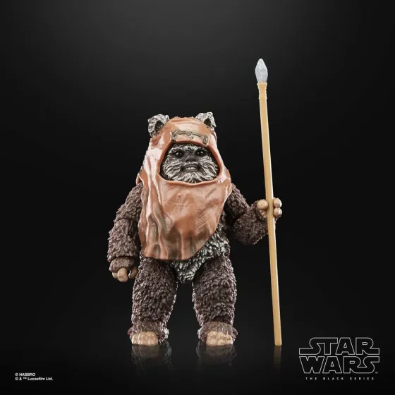 Figurka F7050 Wicket 15 cm Star Wars Episode VI 40th Anniversary Black Series