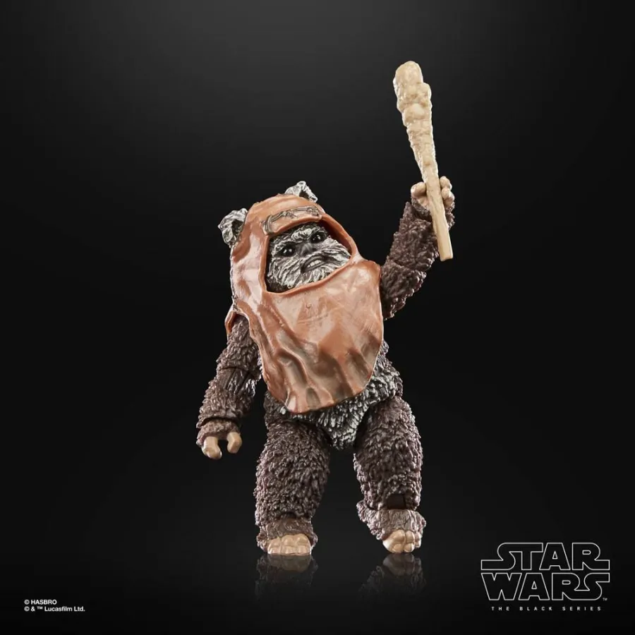 Figurka F7050 Wicket 15 cm Star Wars Episode VI 40th Anniversary Black Series