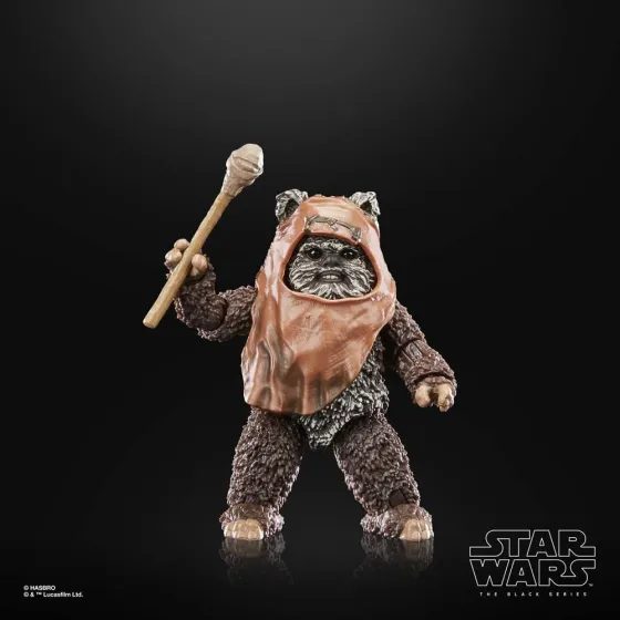 Figurka F7050 Wicket 15 cm Star Wars Episode VI 40th Anniversary Black Series