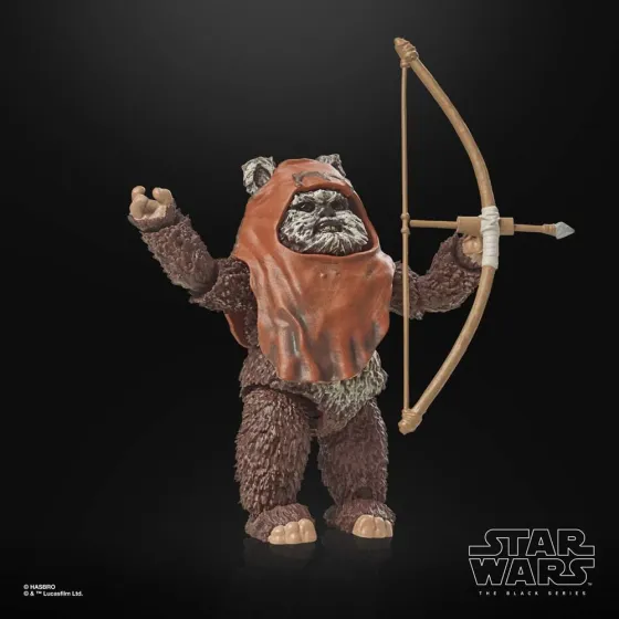 Figurka F7050 Wicket 15 cm Star Wars Episode VI 40th Anniversary Black Series