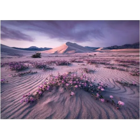 Puzzle 1000 elementów Pustynia o wschodzie słońca, Alexander von Humboldt