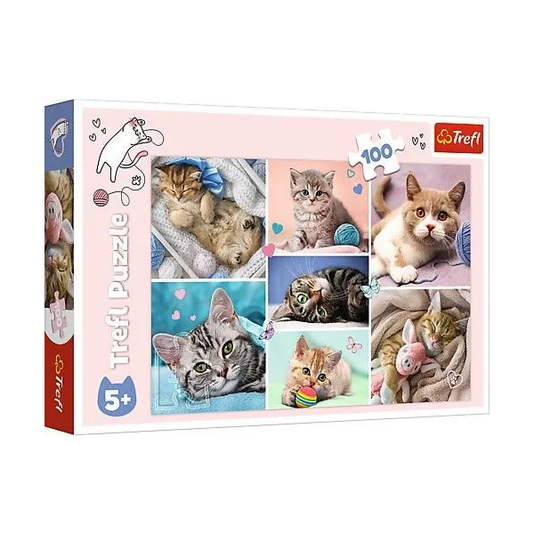 Puzzle 100 elementów W kocim świecie