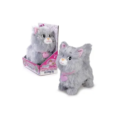 Kotek chodzący na smyczy