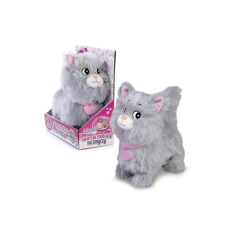 Kotek chodzący na smyczy