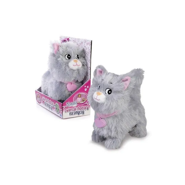 Kotek chodzący na smyczy