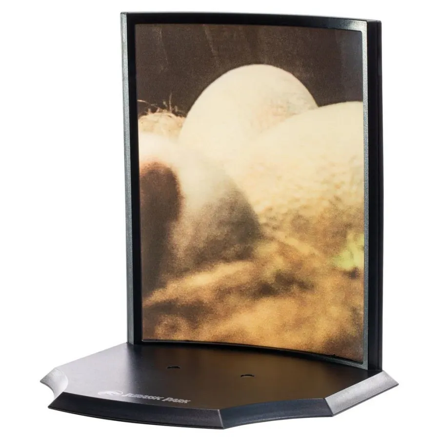 Jurassic Park: Baby Velociraptor in Egg Diorama