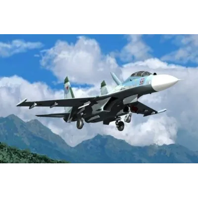 TRUMPETER Su-27UB Flanke r C
