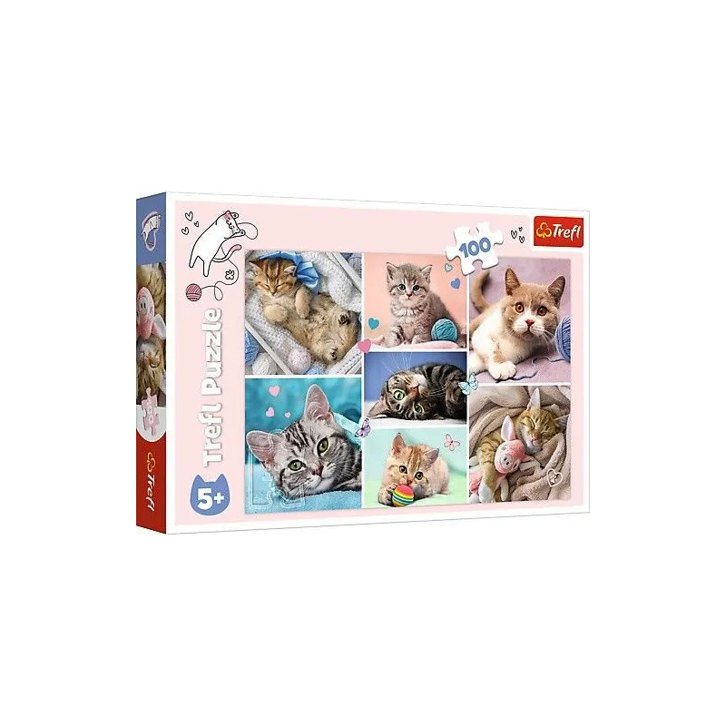 Puzzle 100 elementów W kocim świecie