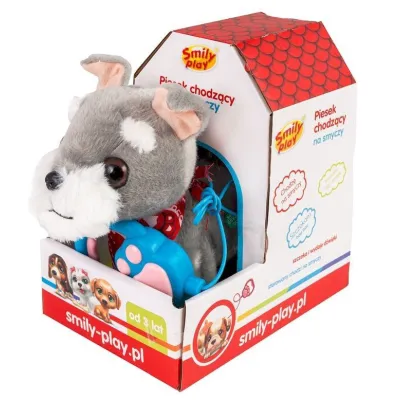 Piesek chodzący na smyczy Szary