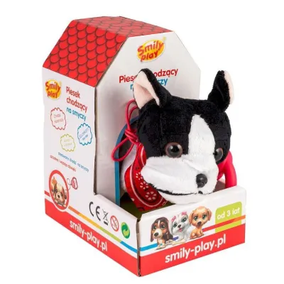 Piesek chodzący na smyczy Czarno-biały