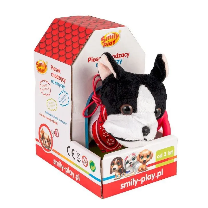 Piesek chodzący na smyczy Czarno-biały