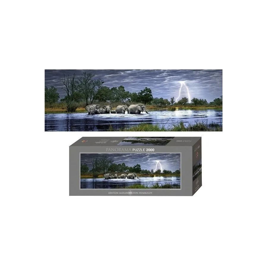 2000EL. Herd of Elephants, E.Humboldt