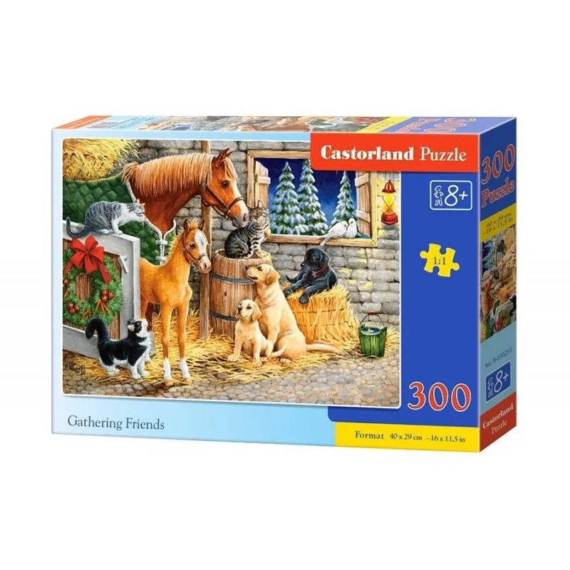 Puzzle 300 elementów, Przyjaciele
