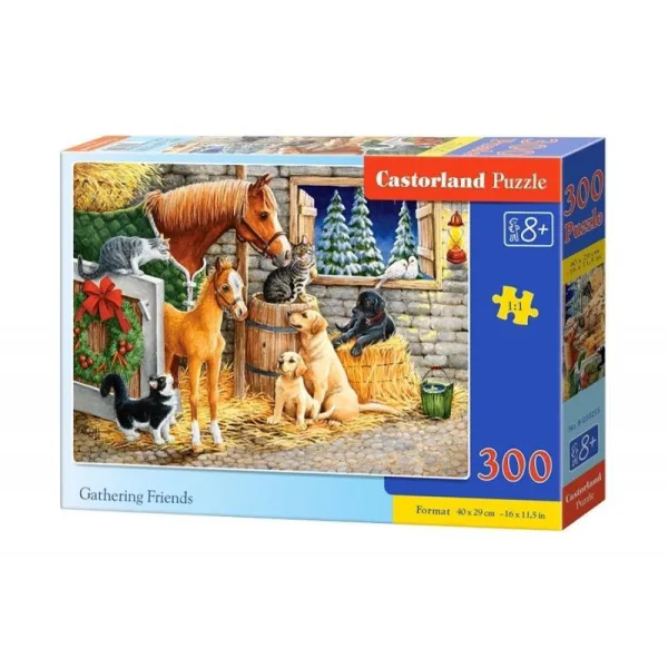 Puzzle 300 elementów, Przyjaciele