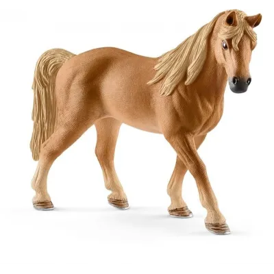 Klacz Rasy Tenessee Walker