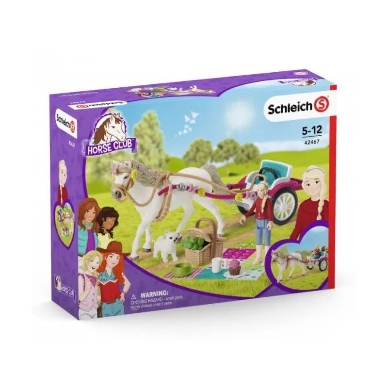 Powóz na wielki pokaz koni