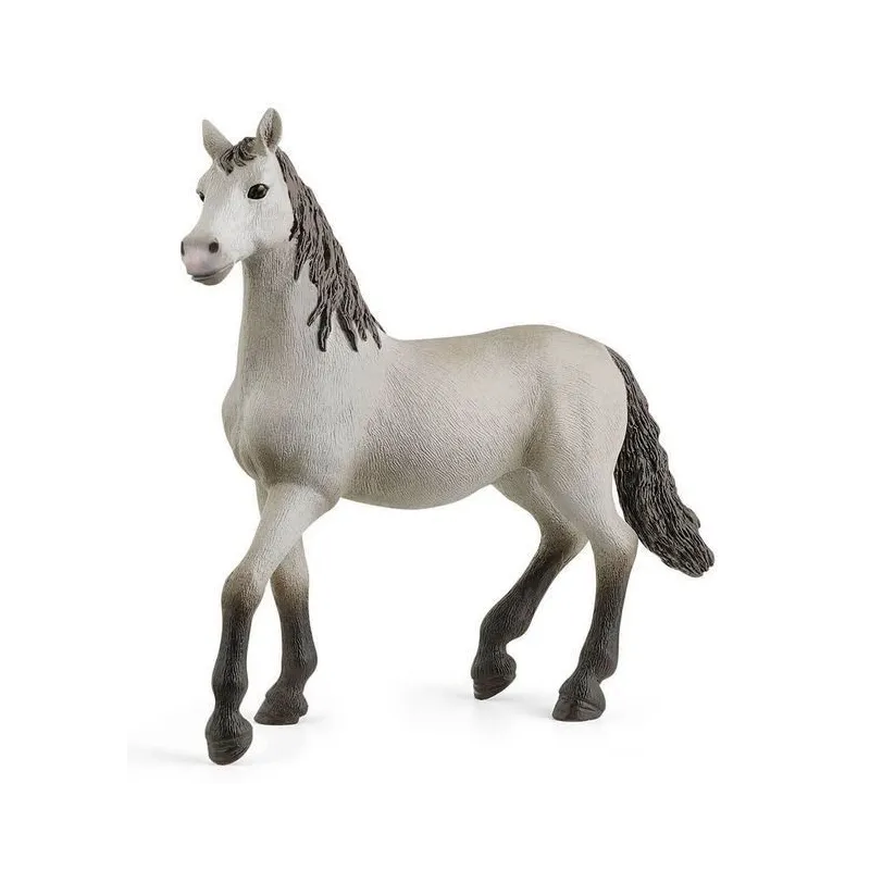 Hiszpański Młody Koń