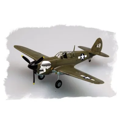 HOBBY BOSS 80252 P-40N Warhawk - 1:72