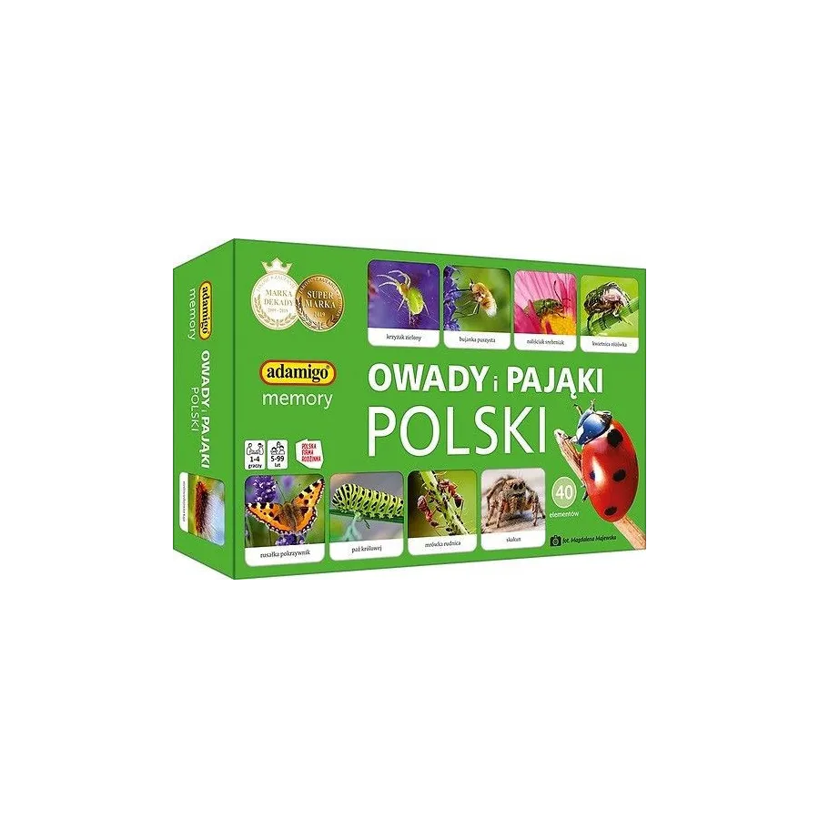 Gra Owady i pająki Polski memory