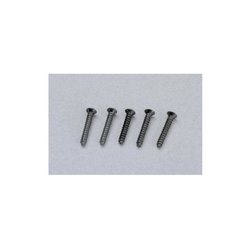 Wkręty do torów z nasypem ok. 50 sztuk