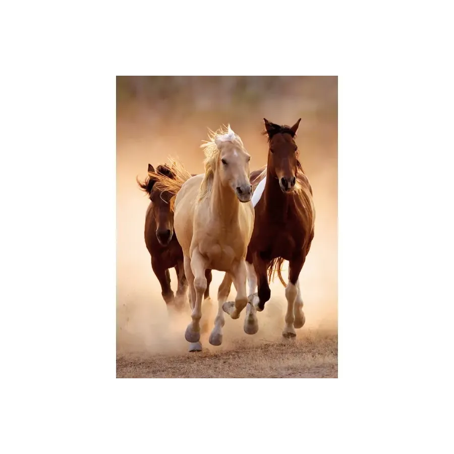 CLEMENTONI 1000 EL. Koni e