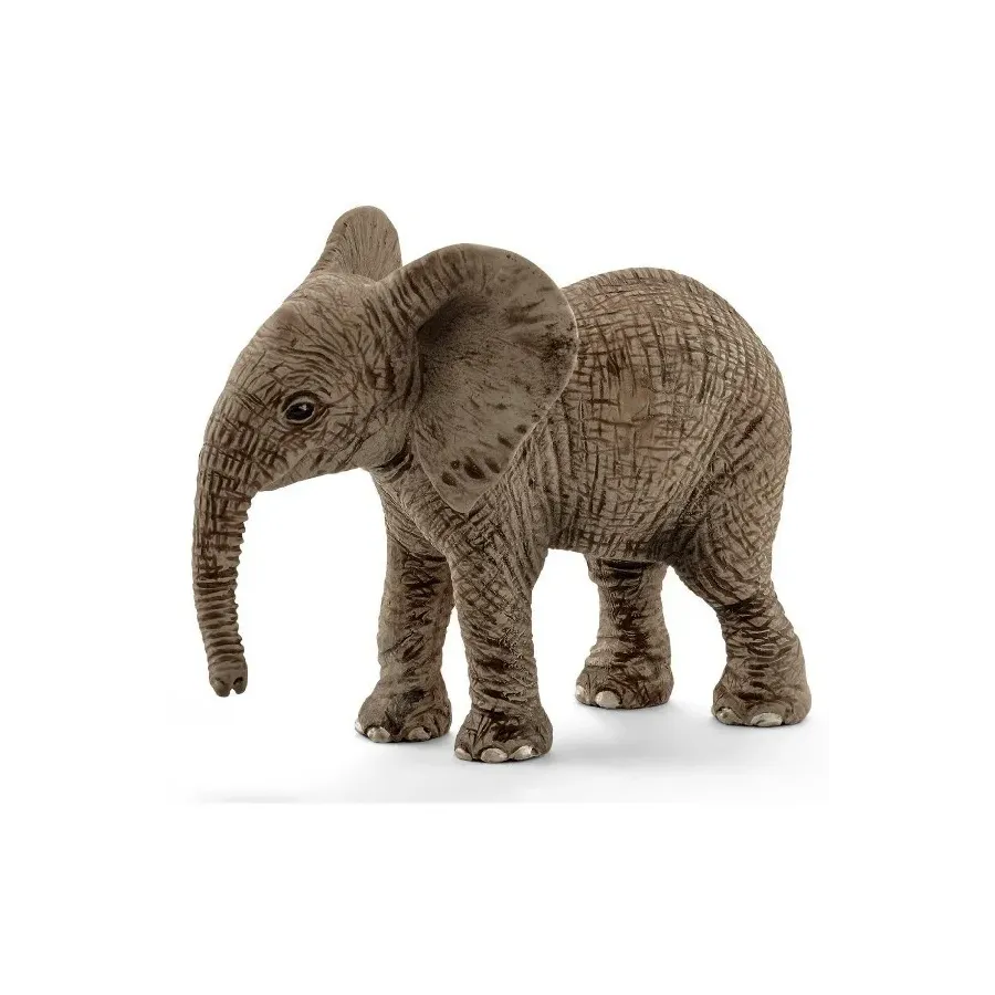 Młody słoń afrykański