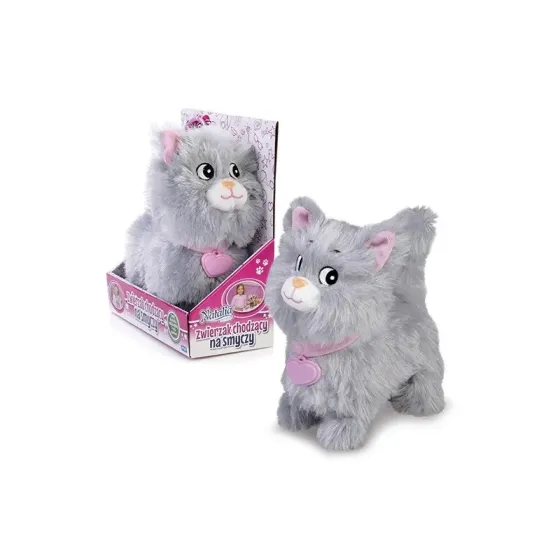 Kotek chodzący na smyczy