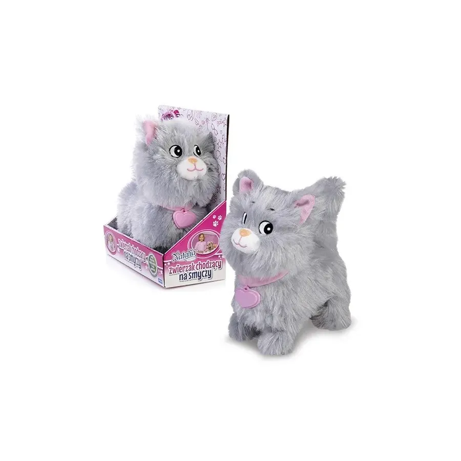 Kotek chodzący na smyczy