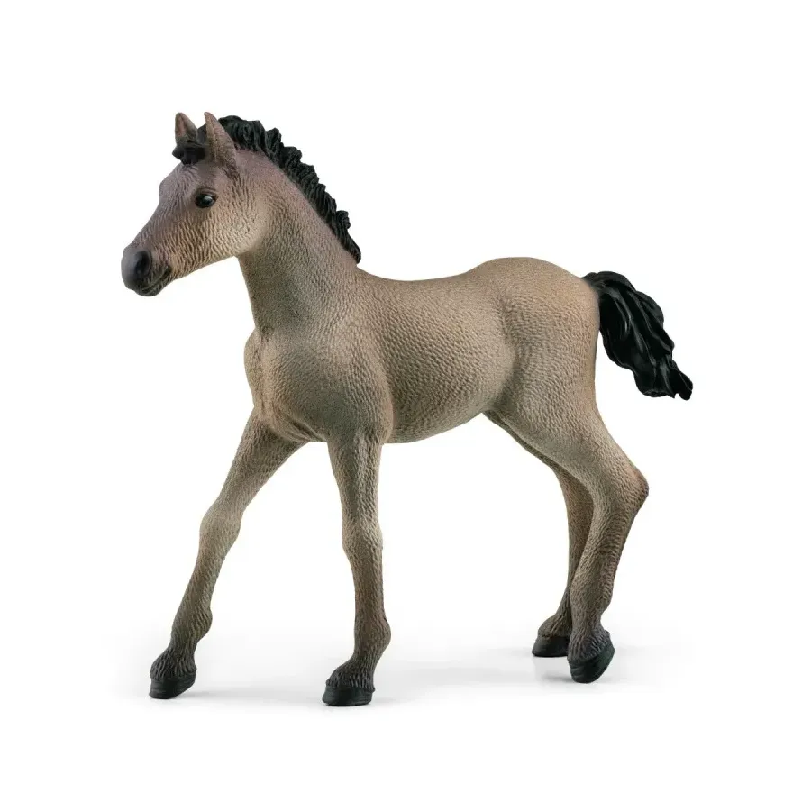 Figurka Criollo Definitivo, Źrebię