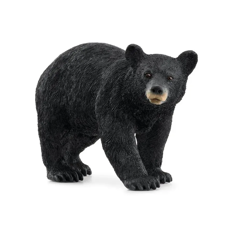 Figurka Niedźwiedź Czarny Wild Life