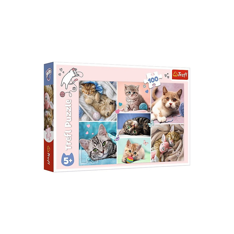 Puzzle 100 elementów W kocim świecie