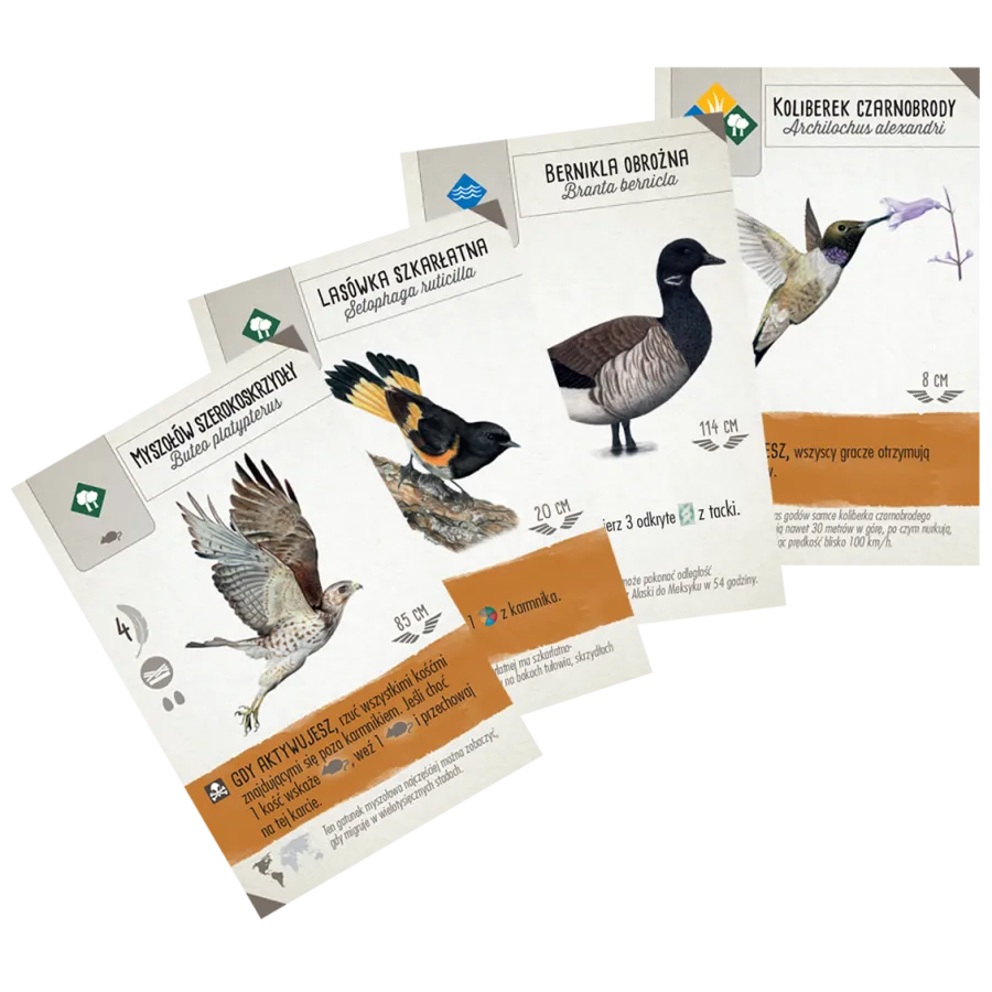 Na skrzydłach: Szybki start