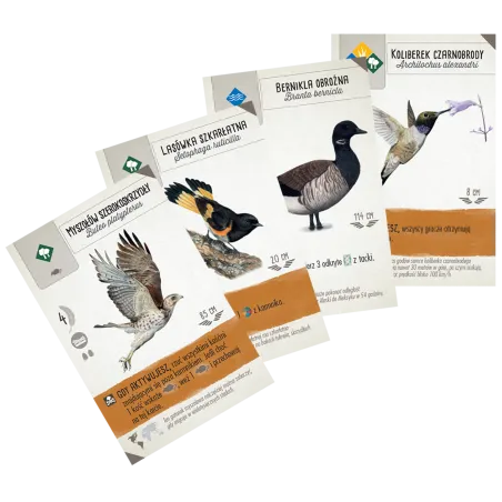 Na skrzydłach: Szybki start